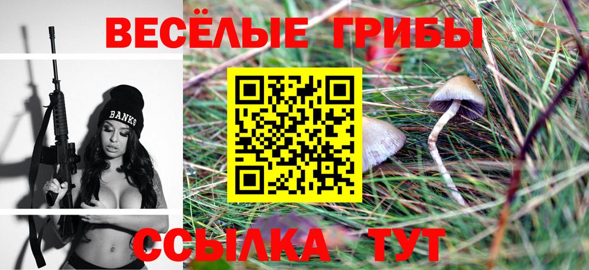 как найти закладки  Галлюциногенные грибы прущие грибы  Вход с VPN  Михайловка 